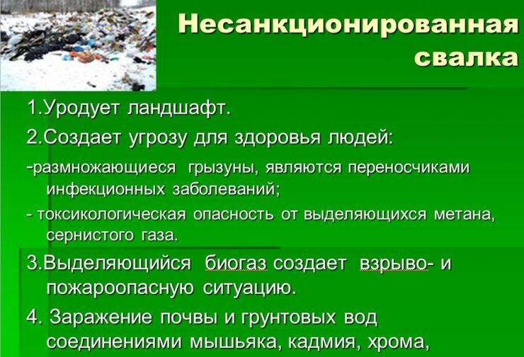 Изображения.