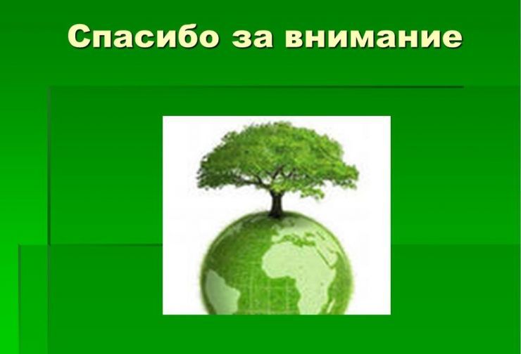 Изображения.