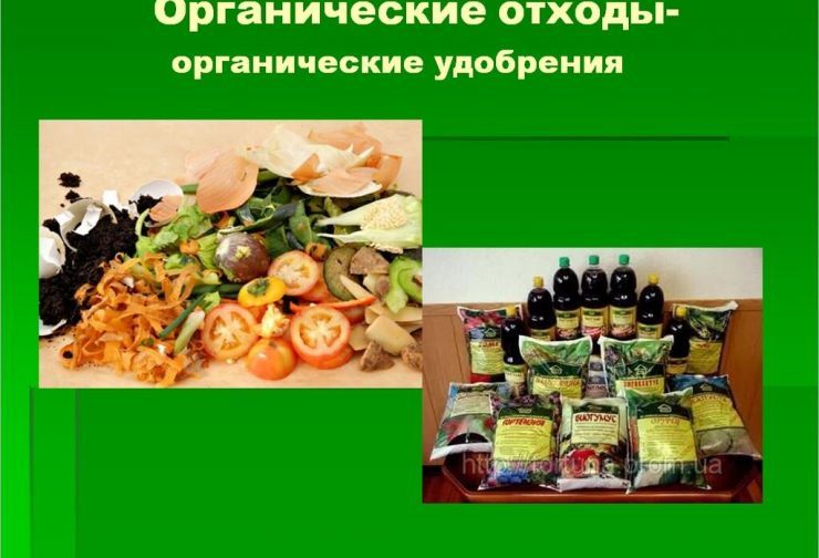 Изображения.