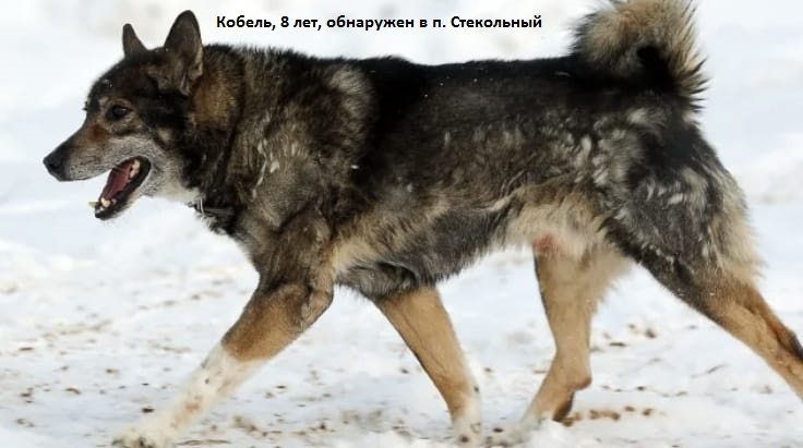 Изображения.