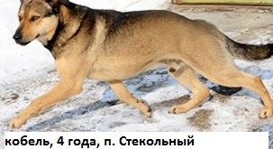 Изображения.