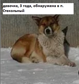 Изображения.