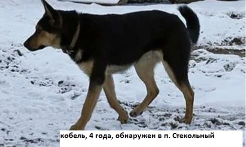 Изображения.