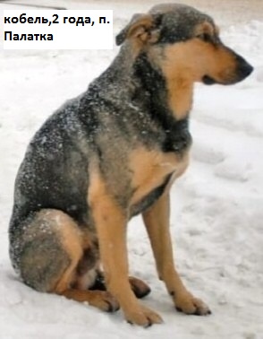 Изображения.