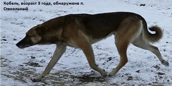 Изображения.
