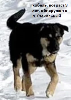 Изображения.