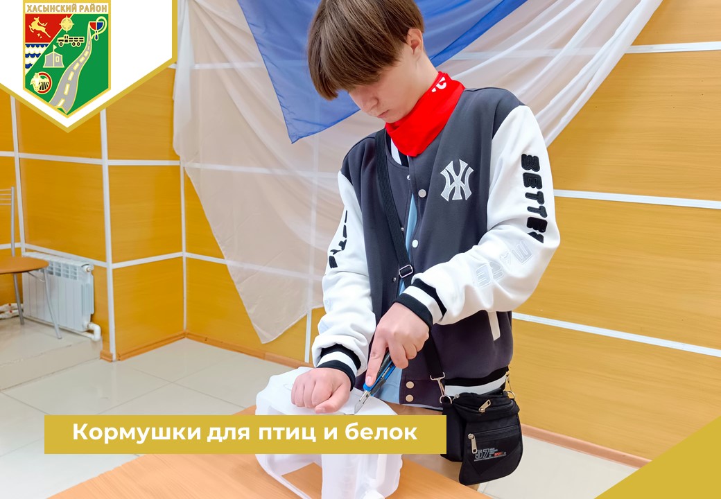 Кормушки для птиц и белок.