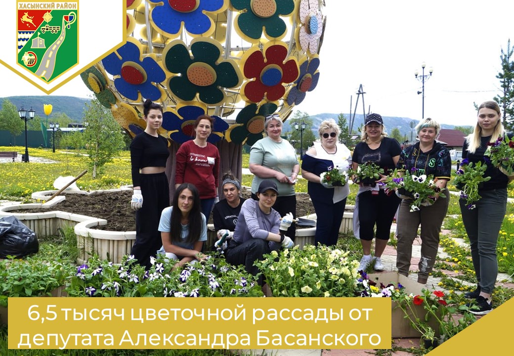 6,5 тысяч цветочной рассады от депутата Александра Басанского.