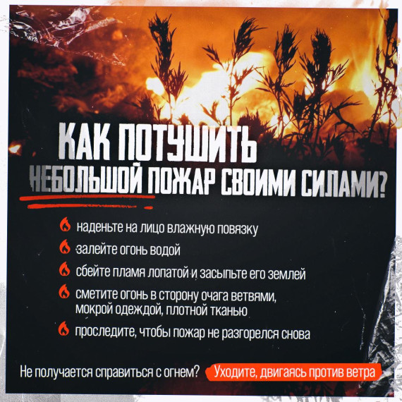 Колымчане узнали о правилах поведения при лесных пожарах. Колымчане узнали о правилах поведения при лесных пожарах.
